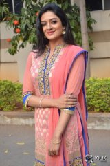 Vimala Raman At Om Namo Venkatesaya Movie Press Meet